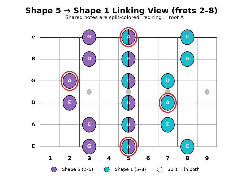 Guitar practice 2026-10-25, chart 3: Shape 5 (purple) linking into Shape 1 (teal); split dots are shared notes.