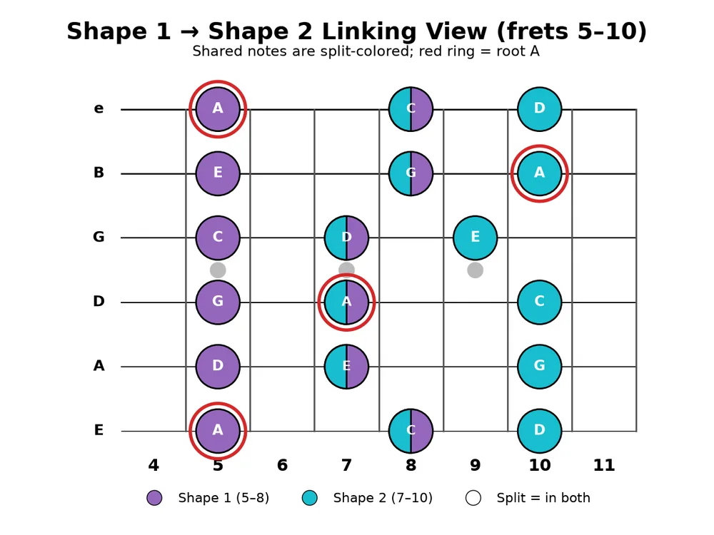 Guitar practice 2026-10-26, chart 3: Shape 1 (purple) linking into Shape 2 (teal); split dots are shared notes.